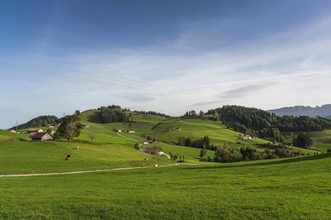 Hilly landscape in Appenzellerland with farms