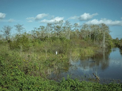 Water arm