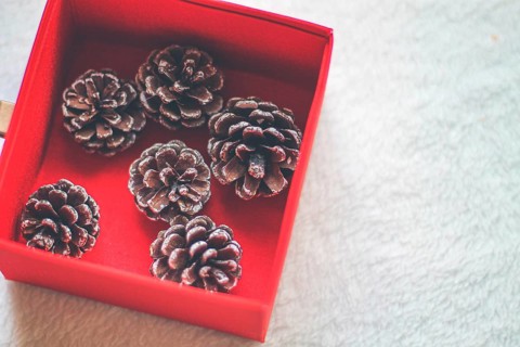 Flat lay of red boxes and pinecones arranged on a white background