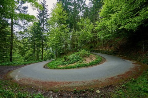 A road makes a sharp bend or turn in the middle of a green forest