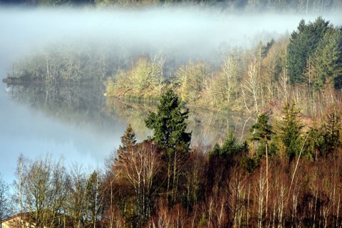 The Steinbach Dam near the national park community of Langweiler on the edge of the Hunsrueck-Hochwald National Park with fog on an early winter morning