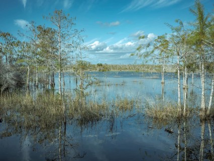 Lagoon