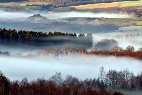 Hunsrueck landscape with forest and meadows on the edge of the Hunsrueck-Hochwald National Park with fog on an early winter morning