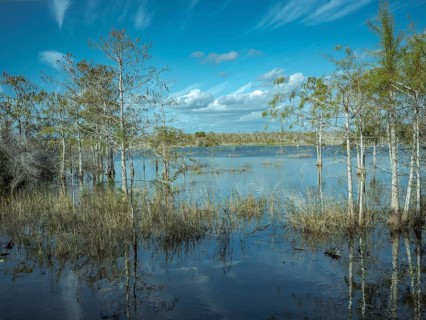 Lagoon