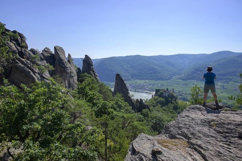 Rock garden above the ruins