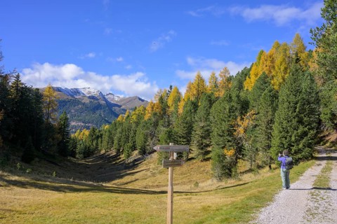 View of the large and small Gabler