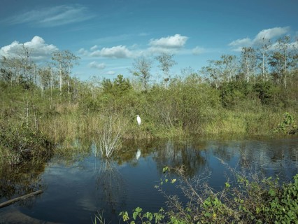 Water arm