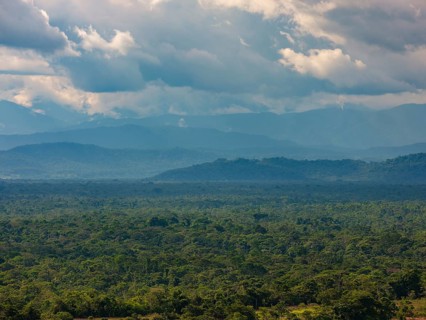 Dark clouds over the Amazon rainforest