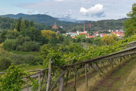 View of Albersweiler