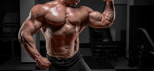 Powerful bodybuilder posing in the gym. No name portrait. Bodybuilding concept.