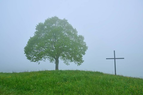A lonely tree and cross on a misty hill