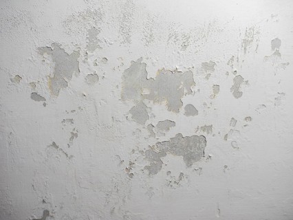 Damp moisture on ceiling
