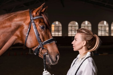 Portrait of a stylish woman hugging a thoroughbred horse. Love and care concept.