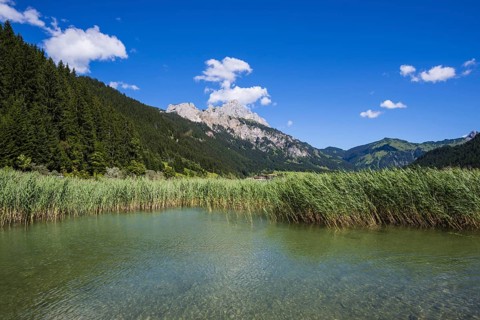 Haldensee