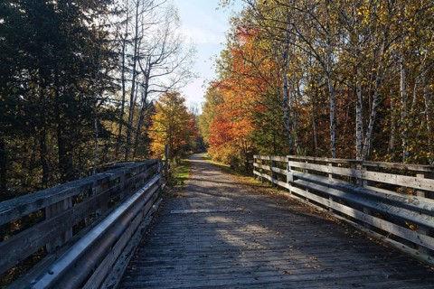 Cycling path on the Trans Canada Trail