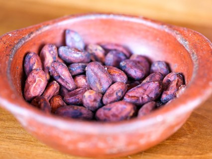 Roasted cocoa beans