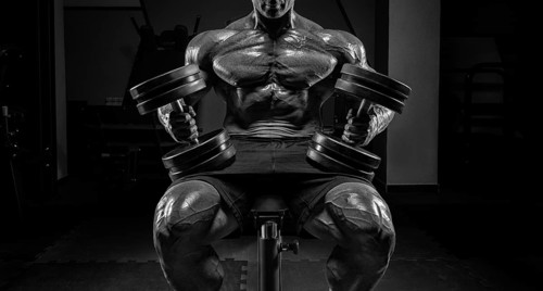 Muscular man sits on a bench with dumbbells. Bodybuilding and powerlifting concept.
