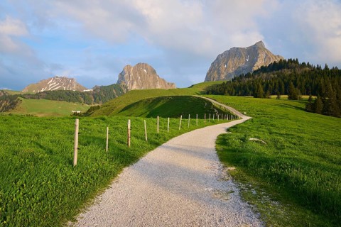 A peaceful path leads through a green meadow into a mountainous landscape under a cloudy blue sky