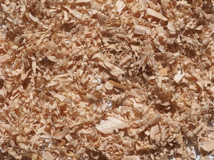 Sawdust wood dust