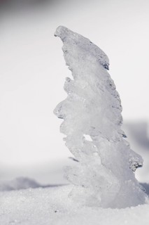 Sculptures created by ice