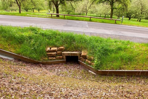 Symbolic image