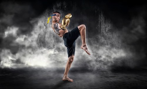 Portrait of a boxer of mixed martial arts