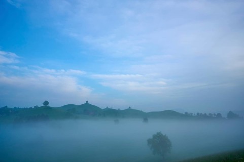 Green moraine hills landscape with meadows and lime trees with morning fog and cloudy sky