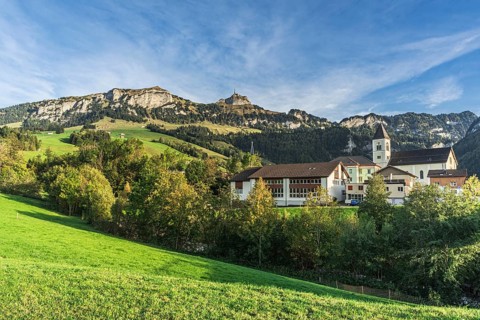 The village of Bruelisau with the Catholic parish church of St Sebastian