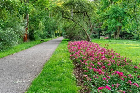 Park an der Saale