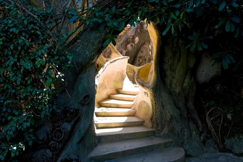 Staircase in the crazy house of Dalat