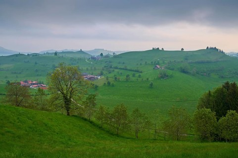View of a quiet