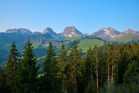 View of an idyllic mountain landscape with green forests and snow-capped peaks under a clear blue sky