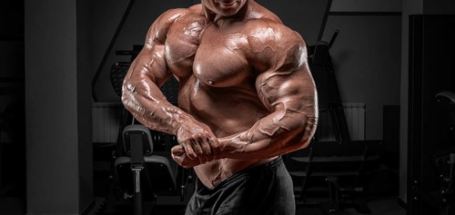 Powerful bodybuilder posing in the gym. No name portrait. Bodybuilding concept.