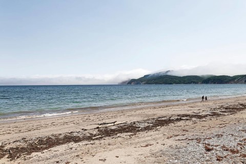 Seascape