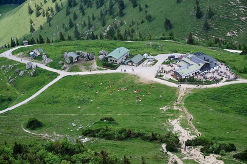 Steinlingalm mountain restaurant