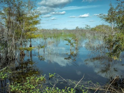 Lagoon