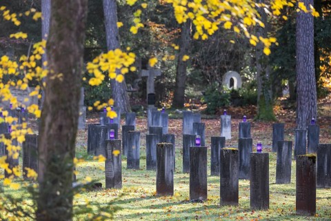 Cemetery for fallen soldiers of the world wars