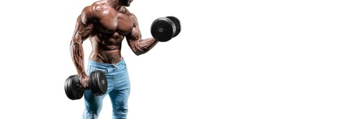 No name sexy muscular man in jeans posing on white background with dumbbell. Bodybuilding and fitness concept.