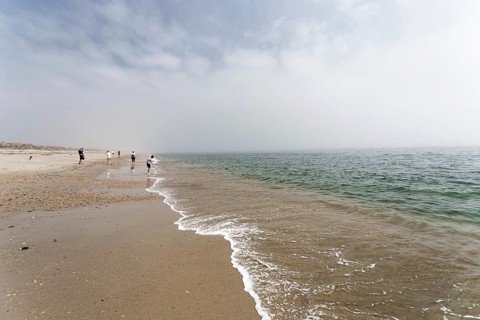 Misty mood