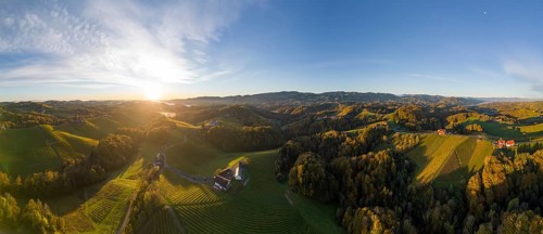 Aerial view of vineyards in the morning light