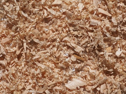 Sawdust wood dust
