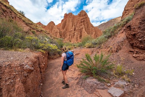 Climber in a canyon with a dry stream bed