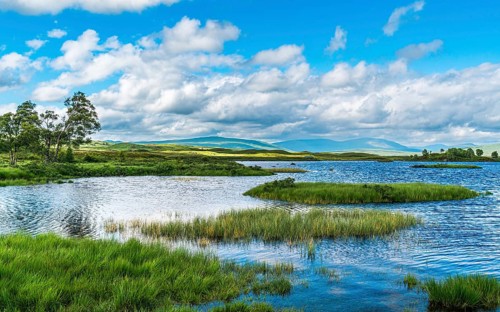 View of Rannoch Moor