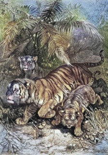 Predators