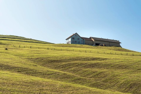 Typical Appenzell farmhouse on a hill