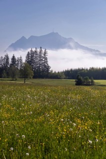 View from the Wittelsbacher Hoehe to the Gruenten