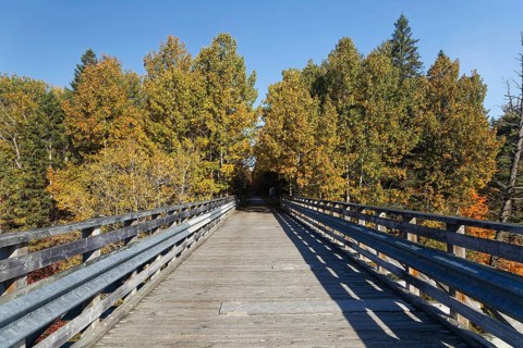 Cycling path on the Trans Canada Trail
