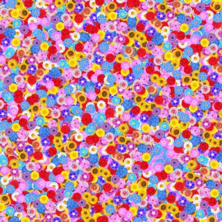 Lots of blossoms
