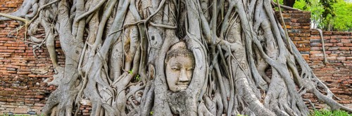 Sandstone head of a Buddha statue