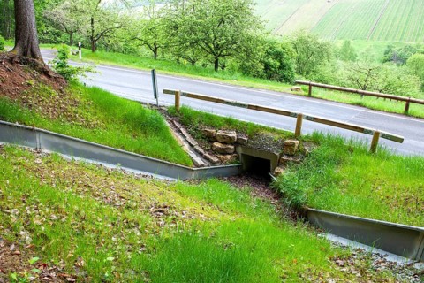 Symbolic image